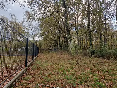 Maison neuve, 75 m²