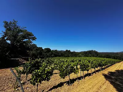 Terrain à bâtir, 621 m²