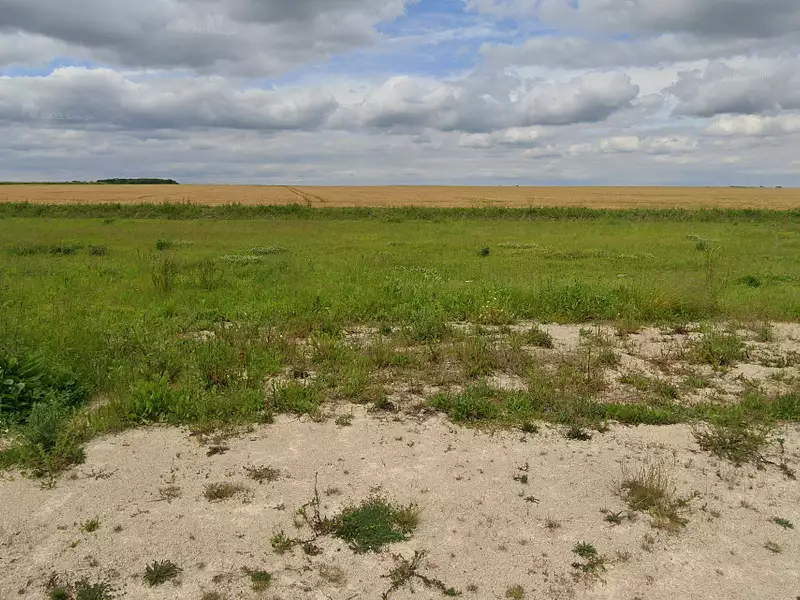 Terrain à bâtir, 789 m² - Ouzouer-le-Marché (41240)