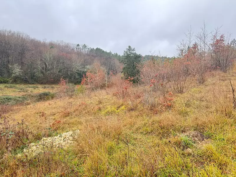 Terrain à bâtir, 1 600 m² - Trélissac (24750)