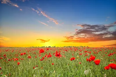 Terrain à bâtir, 1 200 m²