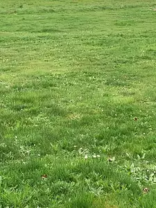 Maison neuve, 70 m²