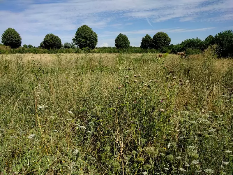 Terrain à bâtir, 850 m² - Etampes (91150)