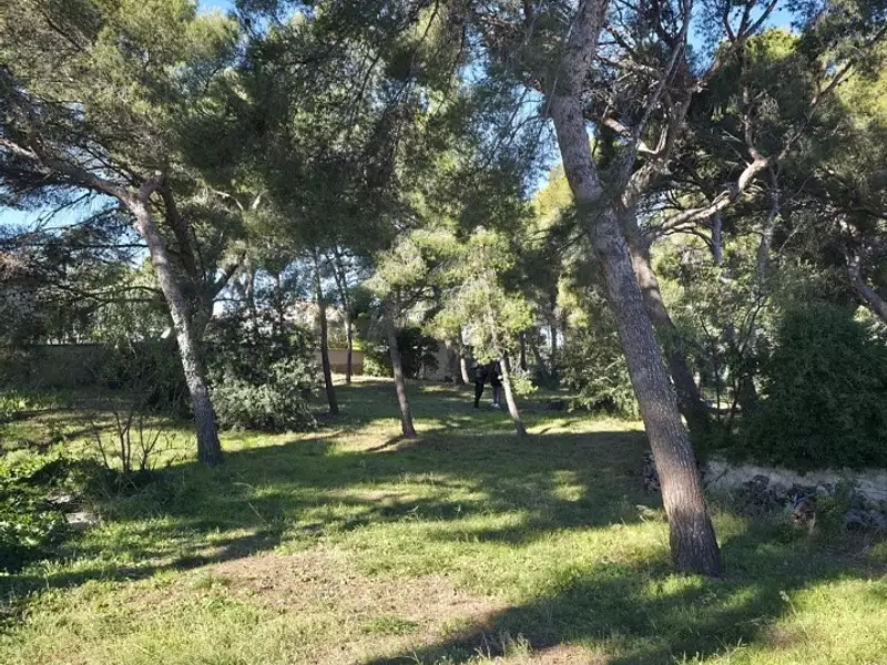 Terrain à bâtir, 678 m² - Sausset-les-Pins (13960)