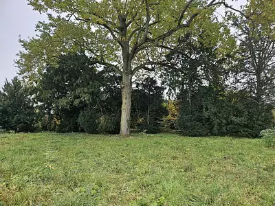 Maison neuve, 100 m²
