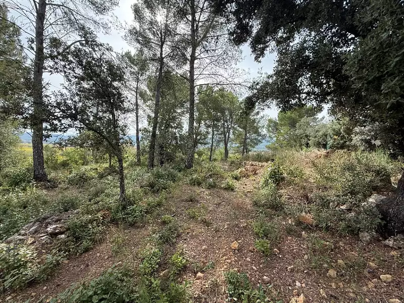 Terrain à bâtir, 700 m² - Flassans-sur-Issole (83340)