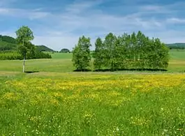 Terrain à bâtir, 749 m²