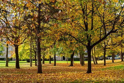 Résidence de L'Ormeteau