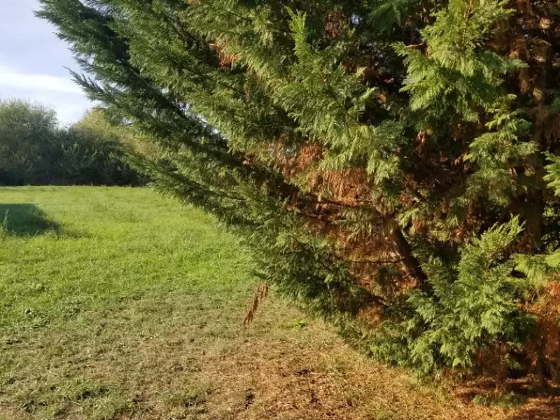 Terrain à bâtir, 600 m² - Saint-Quentin-de-Baron (33750)