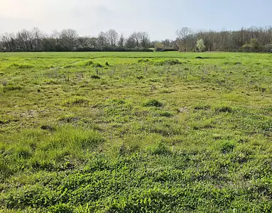 Terrain à bâtir, 1 452 m²