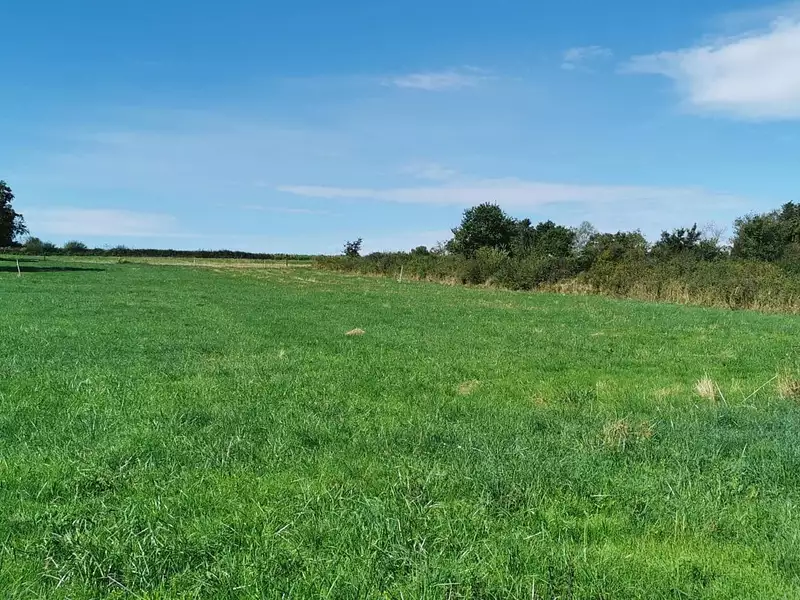 Maison neuve, 102 m² - Meillard (03500)