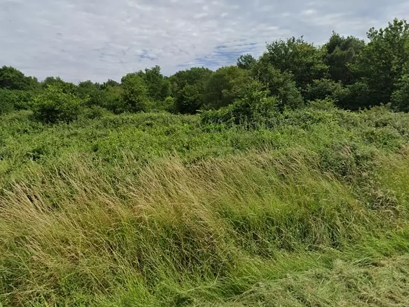 Terrain à bâtir, 750 m² - Saint-Savin (33920)