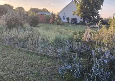 Terrain à bâtir, 447 m²