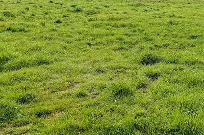 Terrain à bâtir, 570 m²