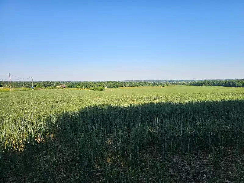 Maison neuve, 100 m² - Verdelais (33490)