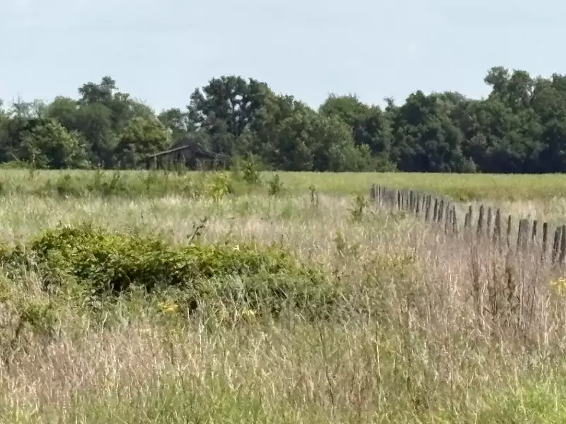 Terrain à bâtir, 580 m² - Le Born (31340)