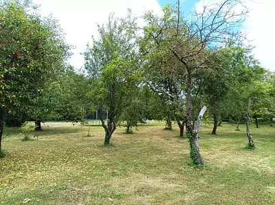 Terrain à bâtir, 1 223 m²