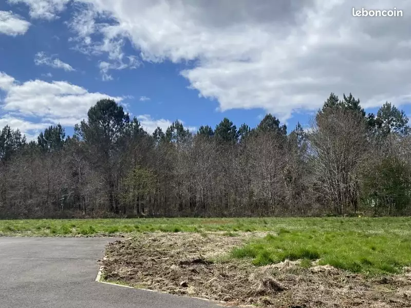 Terrain à bâtir, 750 m² - Saint-Selve (33650)