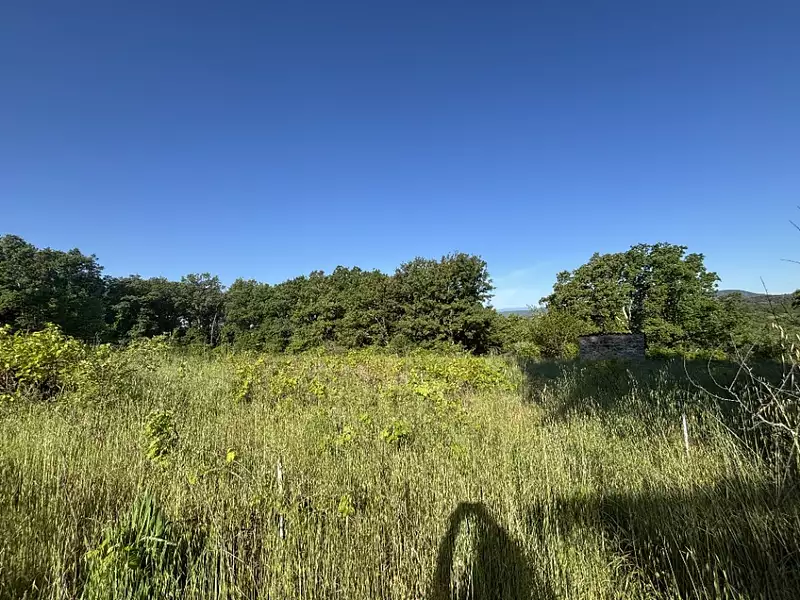 Terrain à bâtir, 1 242 m² - Barjac (30430)