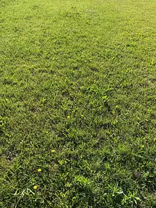 Maison neuve, 100 m²