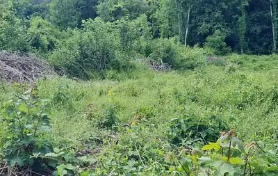 Maison neuve, 141 m²