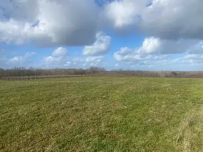 Terrain à bâtir, 1 081 m²