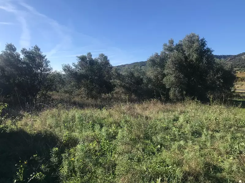 Terrain à bâtir, 518 m² - Claret (34270)