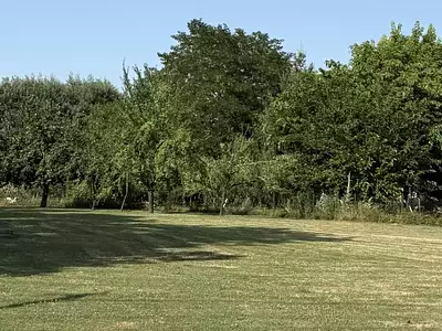 Terrain à bâtir, 980 m²