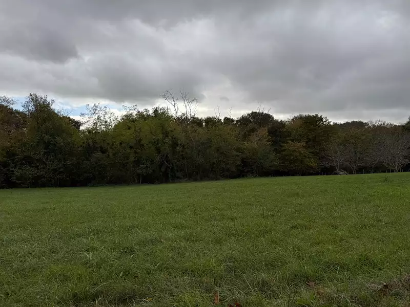 Terrain à bâtir, 1 648 m² - Saint-Exupéry (33190)