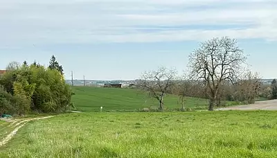 Terrain à bâtir, 1 990 m²