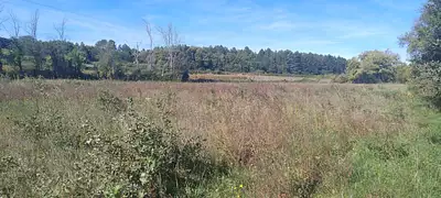 Maison neuve, 250 m²