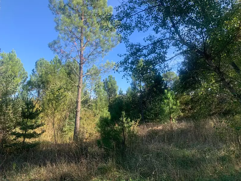 Terrain à bâtir, 1 666 m² - Vagnas (07150)
