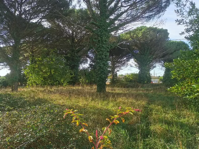 Terrain à bâtir, 1 030 m² - Saint-Maixant (33490)