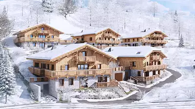 LES CHALETS DE JAYSINIA
