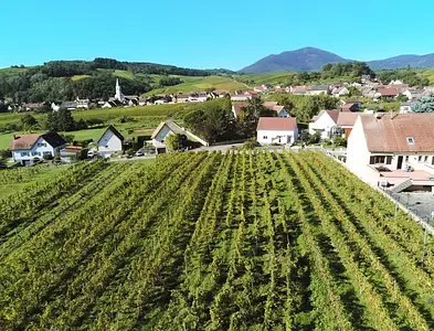 Terrain à bâtir, 2 723 m²