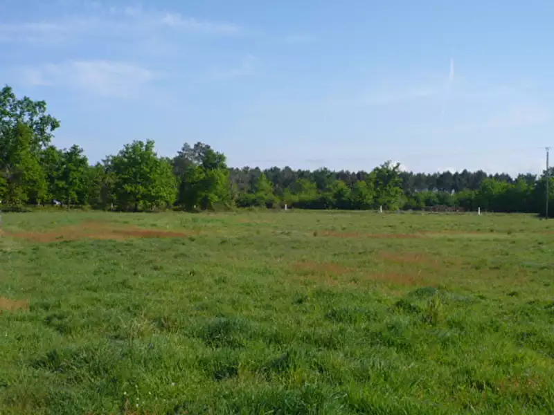 Maison neuve, 100 m² - Locminé (56500)