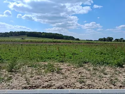 Maison neuve, 81 m²