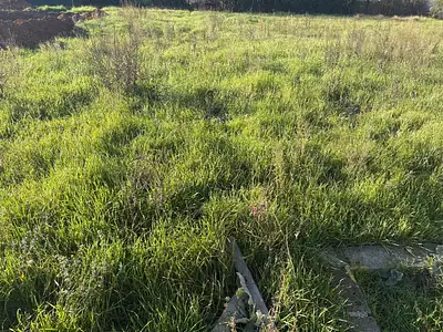 Maison neuve, 110 m²