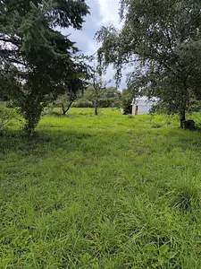 Maison neuve, 90 m²