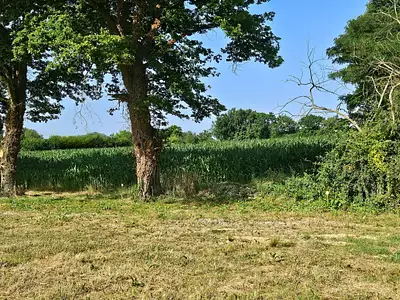 Maison neuve, 130 m²