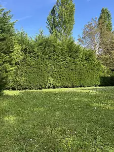 Maison neuve, 90 m²