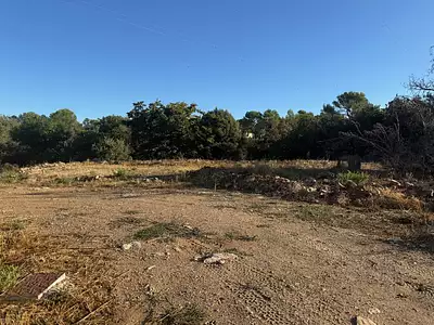 Maison neuve, 80 m²