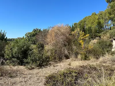 Maison neuve, 90 m²