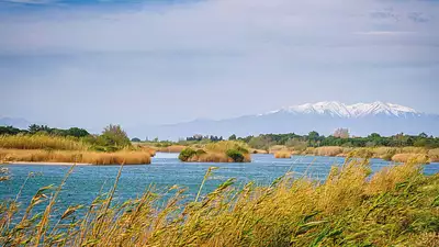 Les Voiles d'Or à 400m de la plage