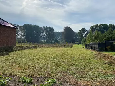 Terrain à bâtir, 1 259 m²