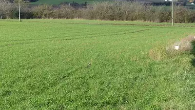 Terrain à bâtir, 923 m²