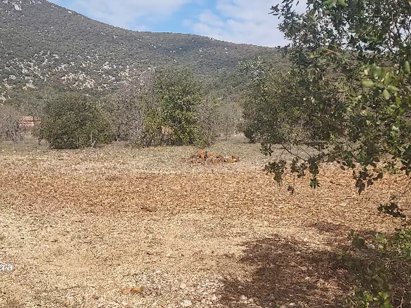 Maison neuve, 95 m² - Sorgues (84700)