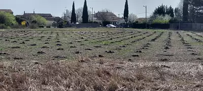 Maison neuve, 71 m²