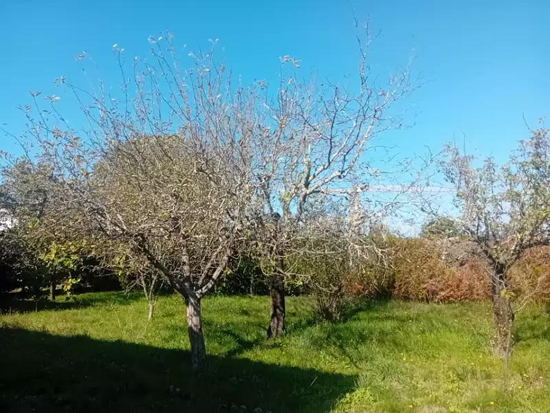 Terrain à bâtir, 1 000 m² - Biganos (33380)