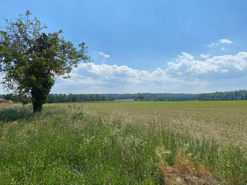 Les Habsbourg - Carspach (68130)